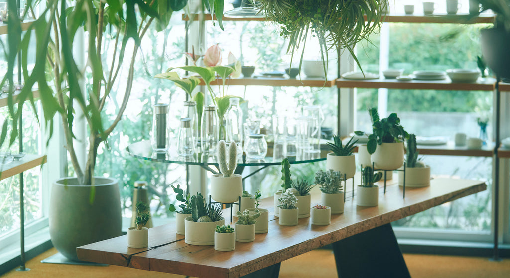 2305_mollis_exhibit_top_1024x1