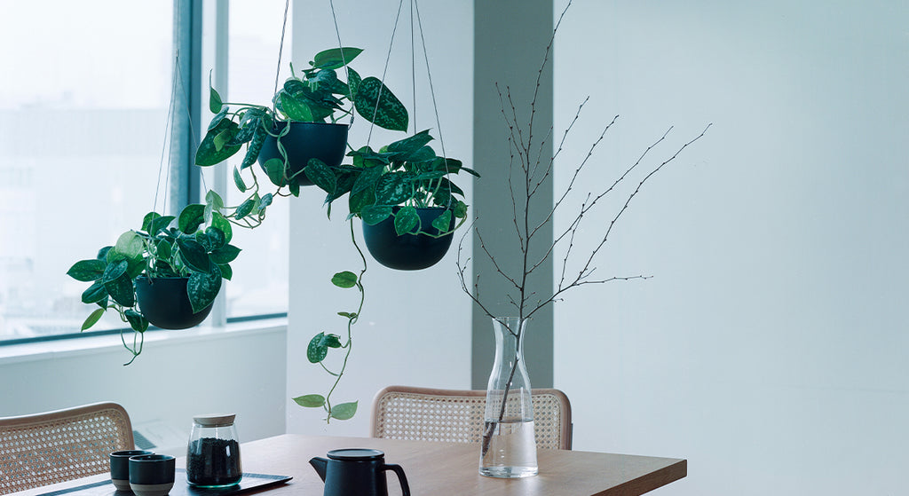 ハンギングで空間に心地よいリズムをつくる – MOLLIS