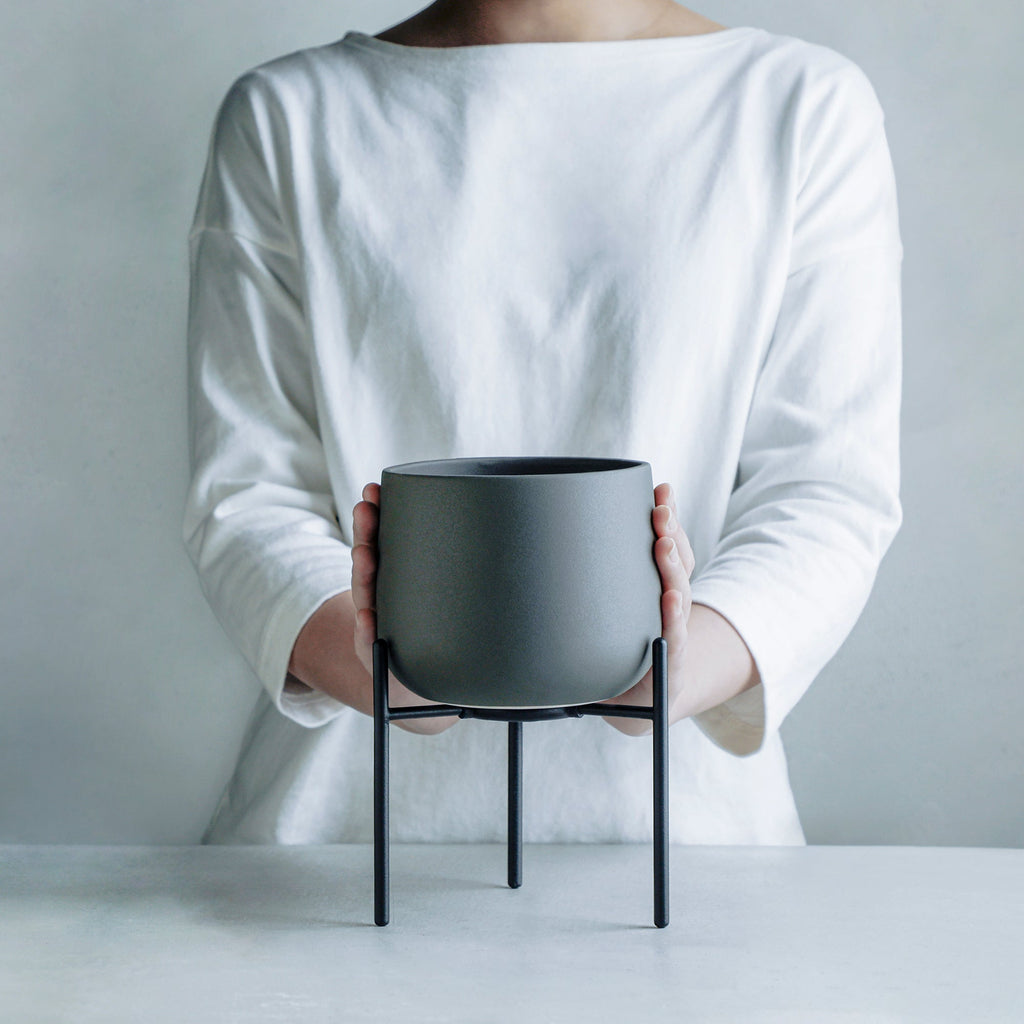 セレウス sp.モンストローサ – MOLLIS