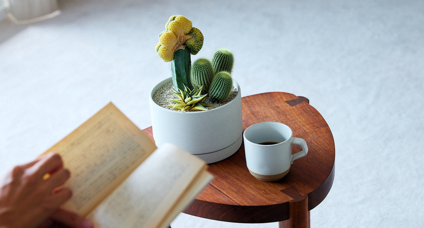 冬のお手入れ方法