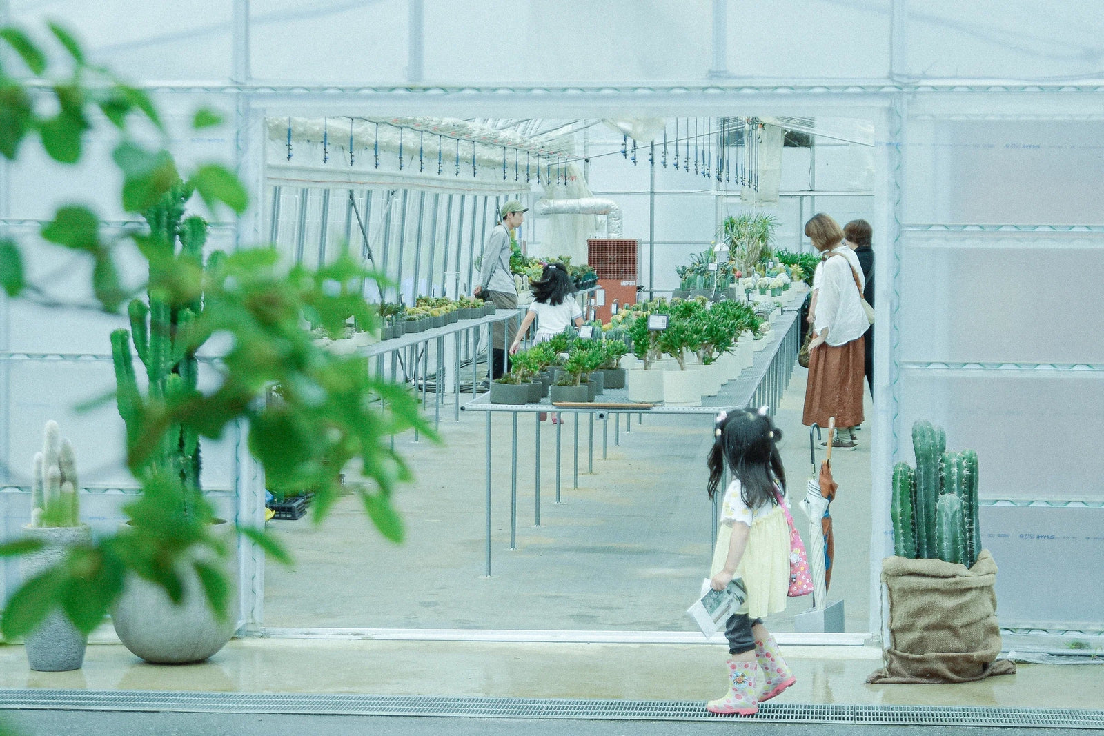 イベントレポート：MOLLIS OPEN DAYS 2026@KINTO FARM, Shiga