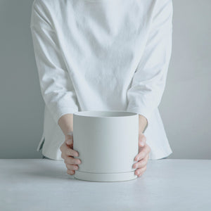 弥勒柱綴化 接ぎ木