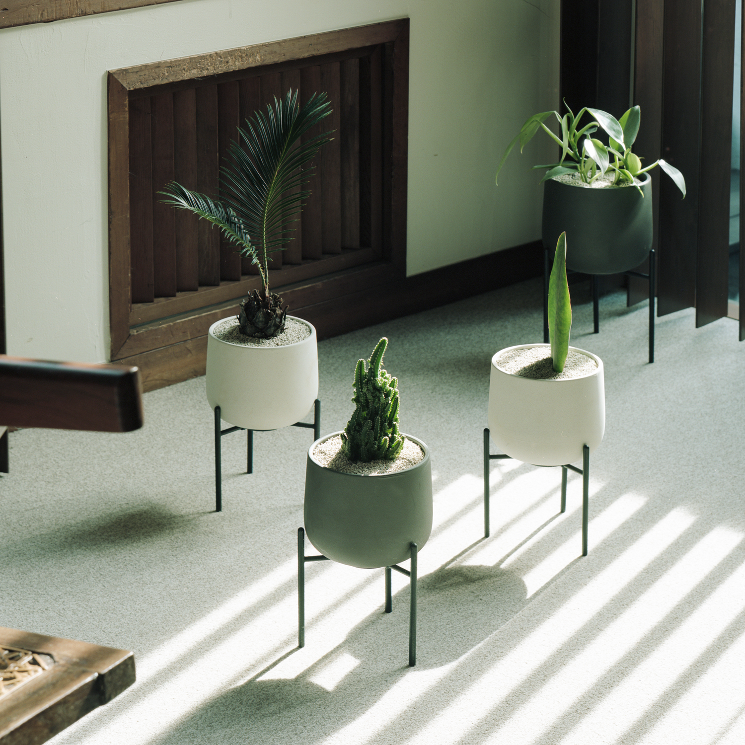 観葉植物 植え替えセット 211 – MOLLIS 観葉植物 植え替えセット 211 – MOLLIS