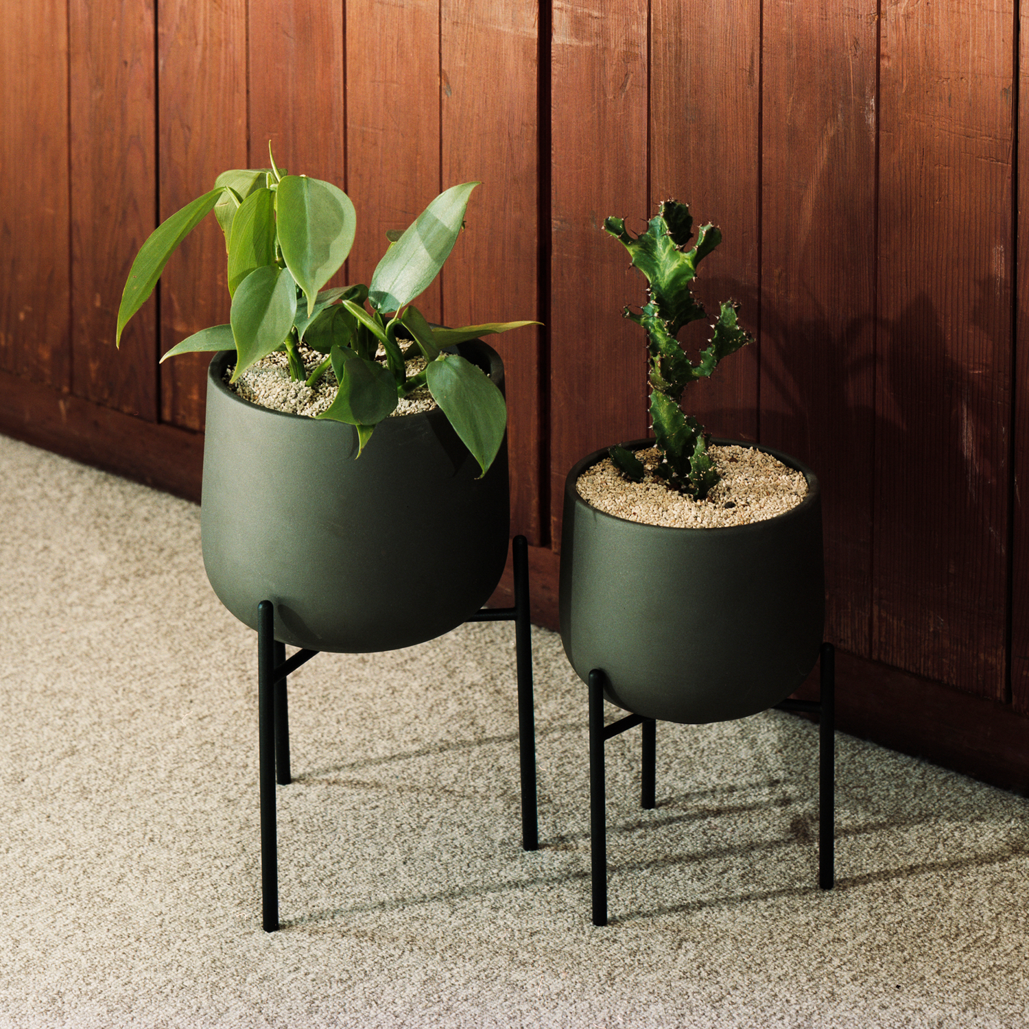 観葉植物 植え替えセット 211 – MOLLIS 観葉植物 植え替えセット 211 – MOLLIS