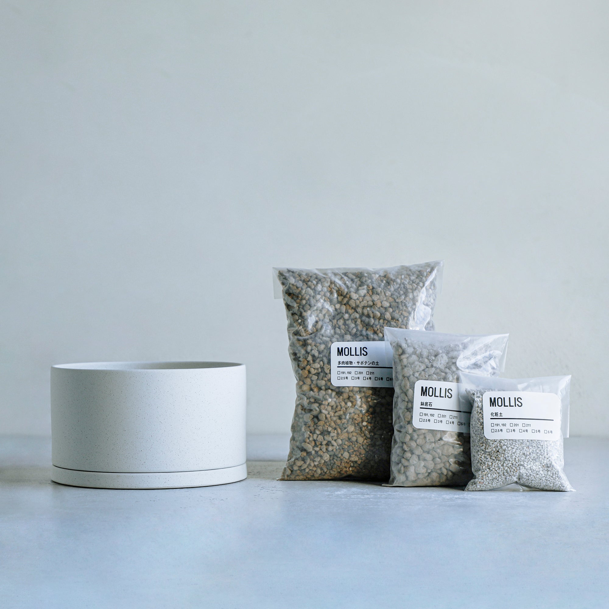 土を使わない多肉植物の新商品「Taniku Set」が、＆Greenから